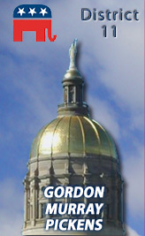 Georgia House District 12 - Bartow, Pickens and Gordon counties